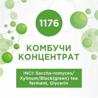 Комбучи концентрат 20мл Комбучи концентрат 20мл