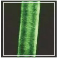 Lipoquat 18-MEA (Липокват 18-МЕА гранулы) 1000г