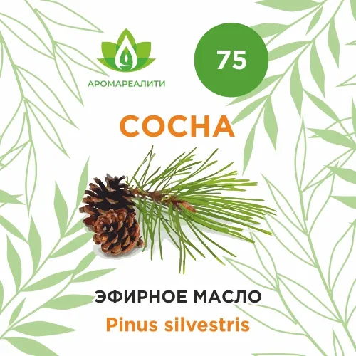 Сосна эфирное масло 50мл