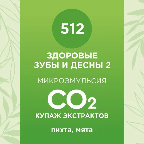 Купаж СО2 экстрактов «Здоровые зубы и десны 2» 10мл