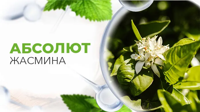 Абсолют жасмина.jpg