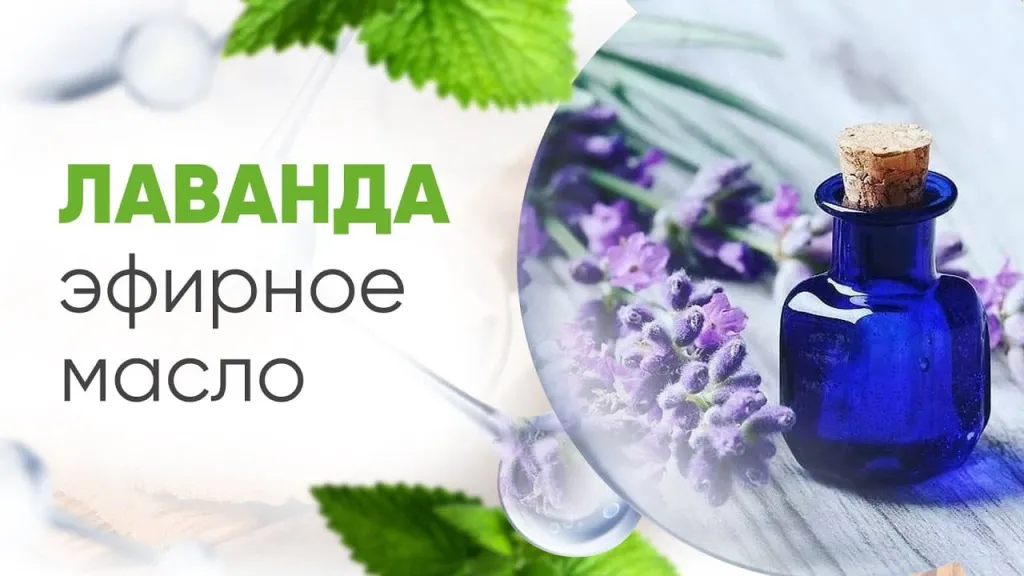 эфирное масло лаванды.jpg