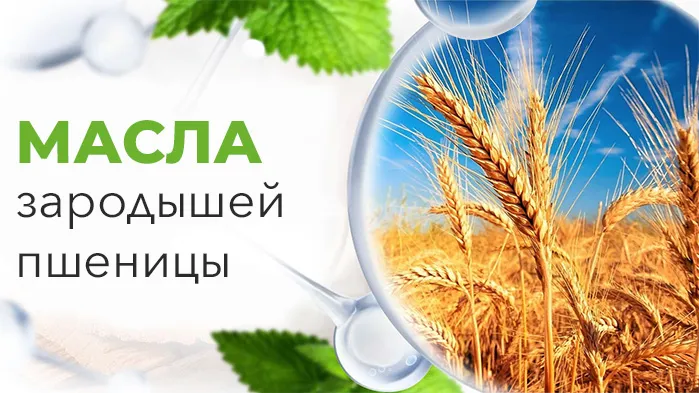 Масло зародышей пшеницы Масло зародышей пшеницы
