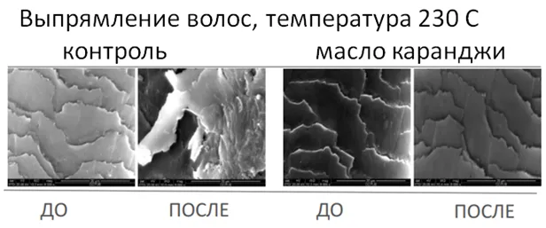 Каранжа 1.PNG