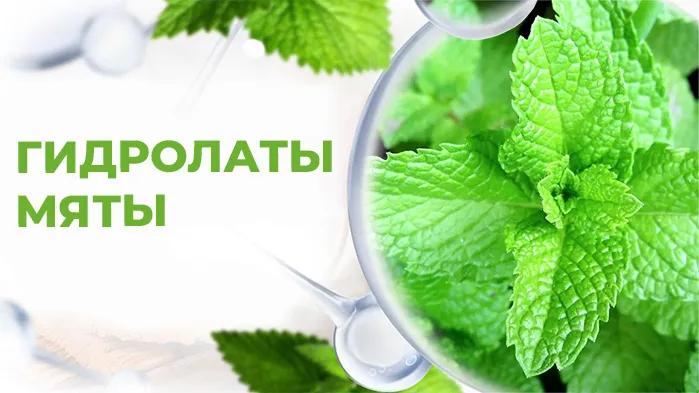 Гидролаты мяты