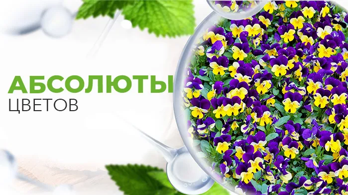 Абсолюты цветов.jpg Абсолюты цветов.jpg
