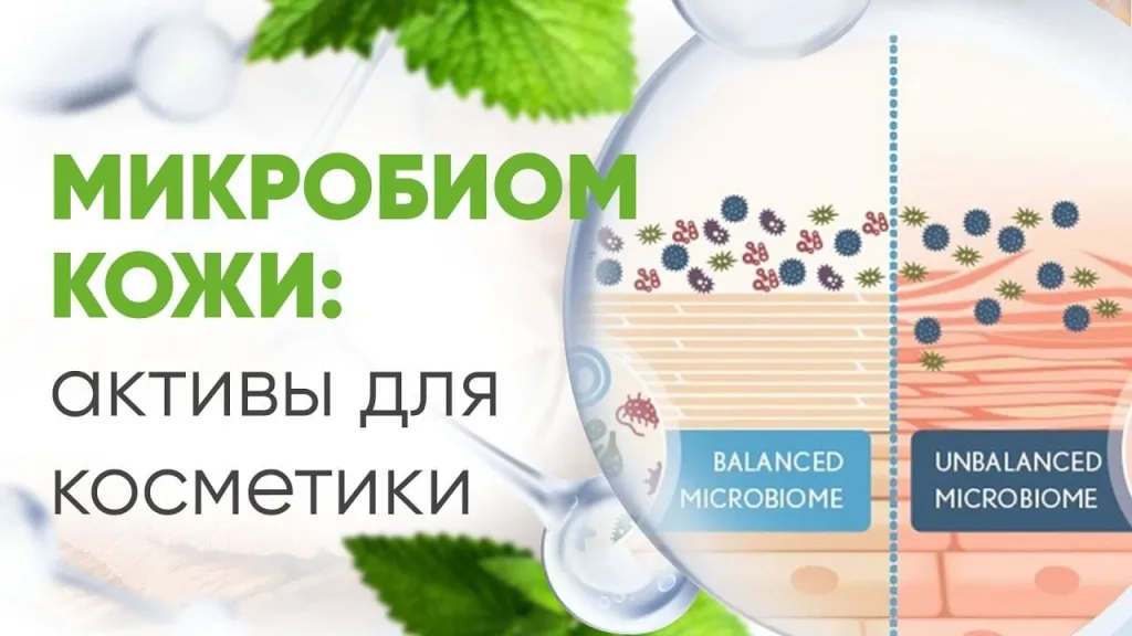 активы Для микробиома кожи.jpeg