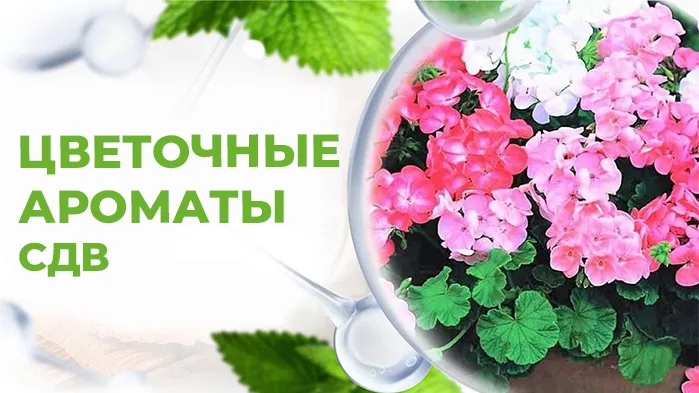 Цветочные ароматы СДВ.jpg