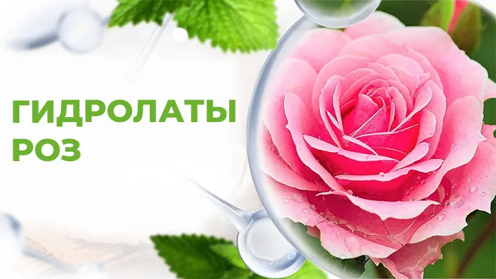 Гидролаты роз Гидролаты роз.jpg