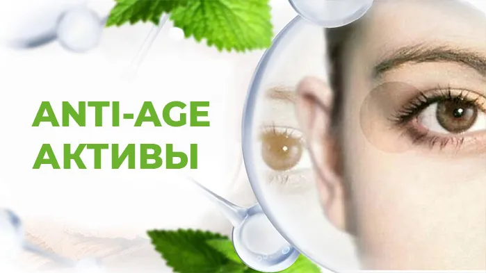 Анти-эйдж активы