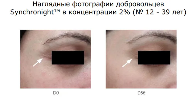 Синхронайт2.PNG