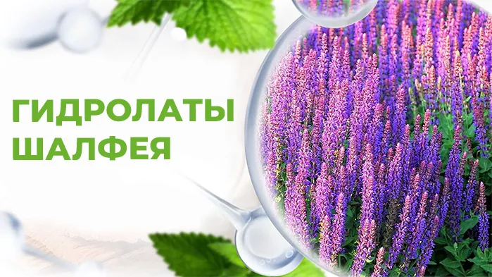 Гидролаты шпалфея