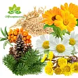 Купаж СО2 экстрактов для чувствительной кожи, от аллергий 10мл