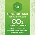 Купаж СО2 экстрактов «Антицеллюлит» 10мл