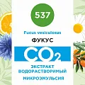 Фукус - водорастворимый докритический СО2 экстракт (микроэмульсия) 20мл