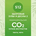 Купаж СО2 экстрактов «Здоровые зубы и десны 2» 10мл