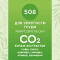 Купаж СО2 экстрактов для упругости груди 10мл