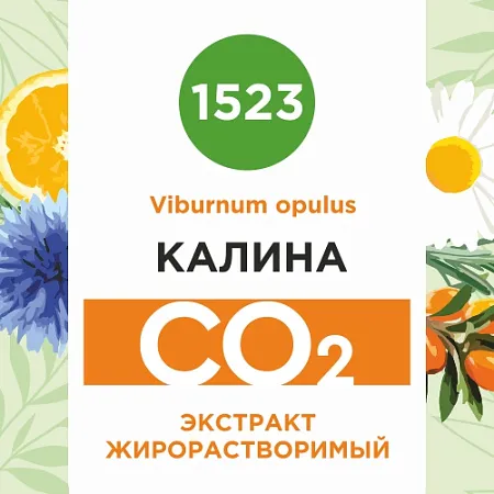 Калина - жирорастворимый докритический СО2 экстракт 10мл Калина - жирорастворимый докритический СО2 экстракт 10мл