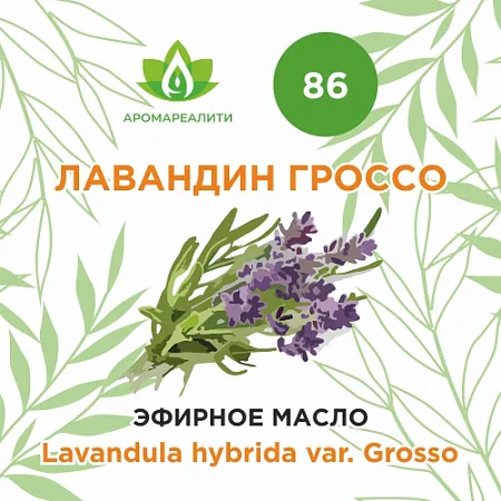 Лавандин Гроссо эфирное масло 10мл Лавандин Гроссо эфирное масло 10мл