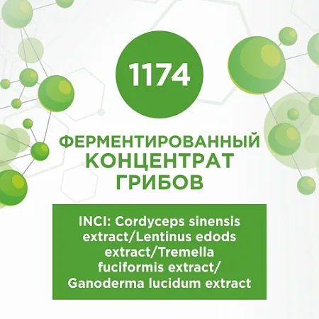 Ферментированный концентрат грибов 100мл Ферментированный концентрат грибов 100мл