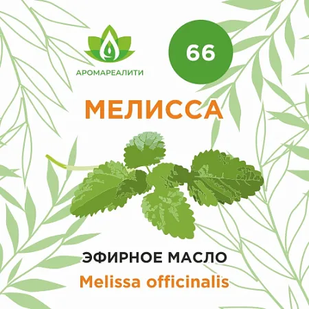 Мелисса эфирное масло 10мл Мелисса эфирное масло 10мл