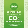Купаж СО2 экстрактов «Имбирный» 50мл