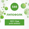 Липофолк 100мл