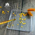 Зародышей пшеницы растительное масло нерафинированное 100мл
