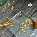Зародышей пшеницы растительное масло нерафинированное 100мл