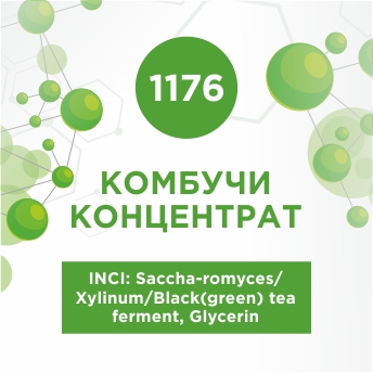 Комбучи концентрат 100мл