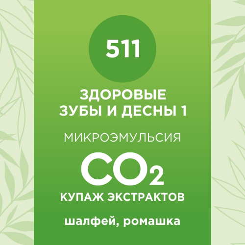 Купаж СО2 экстрактов «Здоровые зубы и десны 1» 10мл