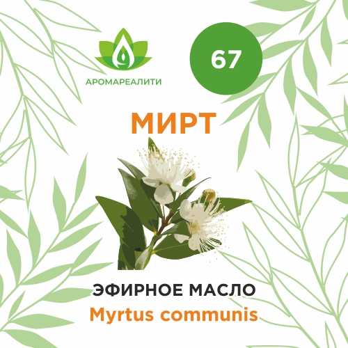 Мирт эфирное масло 5мл