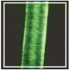 Lipoquat 18-MEA (Липокват 18-МЕА гранулы) 120г