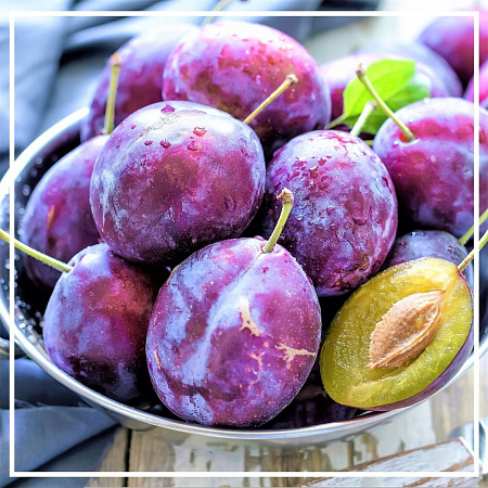 Сливовых косточек растительное масло нерафинированное 30мл Сливовых косточек растительное масло нерафинированное 30мл