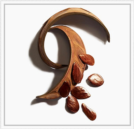 Пракакси масло холодного прессования 30мл Пракакси масло холодного прессования 30мл