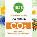 Калина - жирорастворимый докритический СО2 экстракт 10мл
