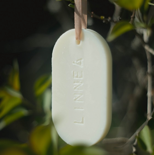 САШЕ для ароматизации дома, пространств и вещей &amp;quot;Корица и Сосна&amp;quot;