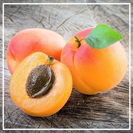 Абрикосовых косточек растительное масло нерафинированное 100мл Абрикосовых косточек растительное масло нерафинированное 100мл