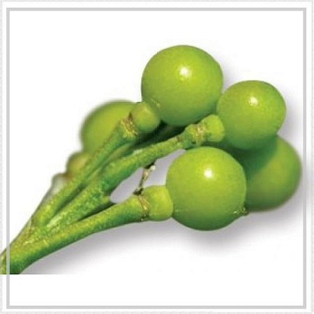 Масло крамбе (абиссинской горчицы) нерафинированное 50мл Масло крамбе (абиссинской горчицы) нерафинированное 50мл