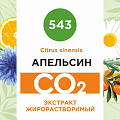 Апельсин - жирорастворимый докритический СО2 экстракт 10мл