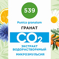 Гранат - водорастворимый докритический СО2 экстракт (микроэмульсия) 100мл