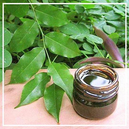 Толуанский бальзам абсолют 5г Толуанский бальзам абсолют 5г