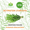 Эстрагон (тархун) эфирное масло 2г