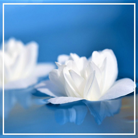 Гедион 10мл Гедион 10мл