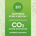 Купаж СО2 экстрактов «Здоровые зубы и десны 1» 10мл
