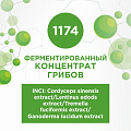 Ферментированный концентрат грибов 100мл