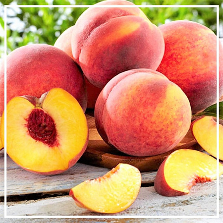 Персиковых косточек растительное масло нерафинированное 100мл Персиковых косточек растительное масло нерафинированное 100мл