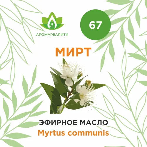 Мирт эфирное масло 10мл