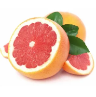 Грейпфрут розовый эфирное масло 10мл Грейпфрут розовый эфирное масло 10мл