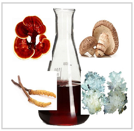 Ферментированный концентрат грибов 20мл Ферментированный концентрат грибов 20мл